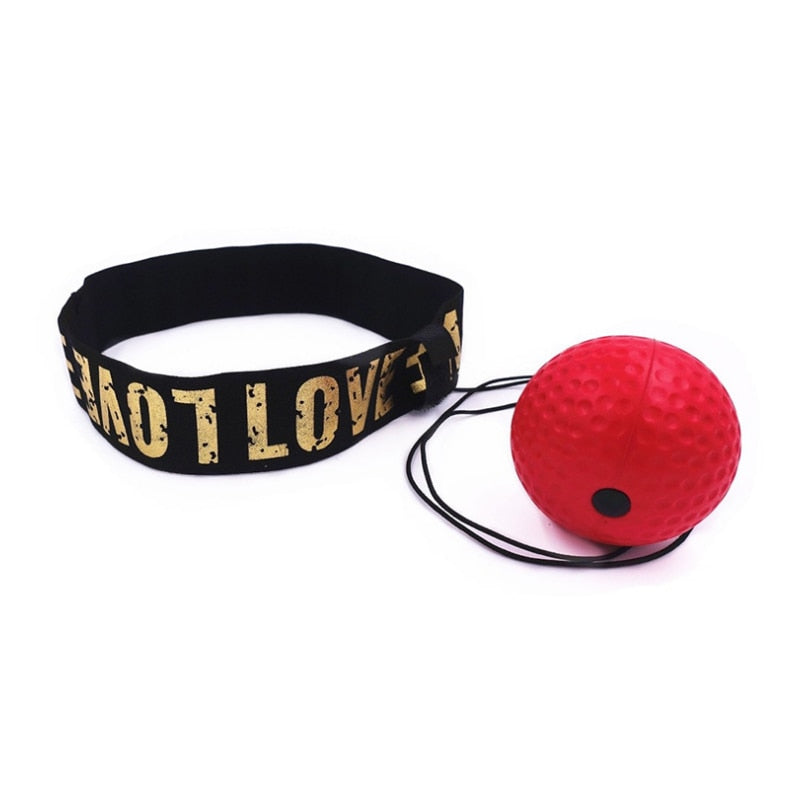 TITLE Boxing Reflex Ball